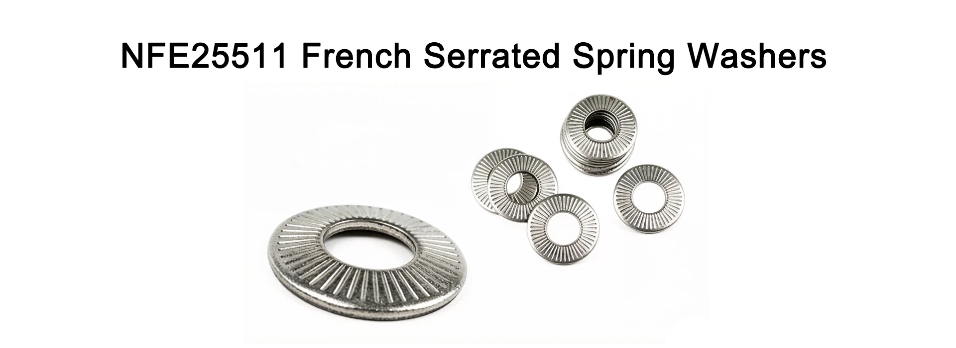 NFE25511 French Serrated Spring Washers